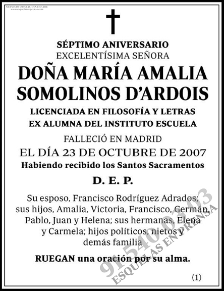 María Amalia Somolinos D´Ardois